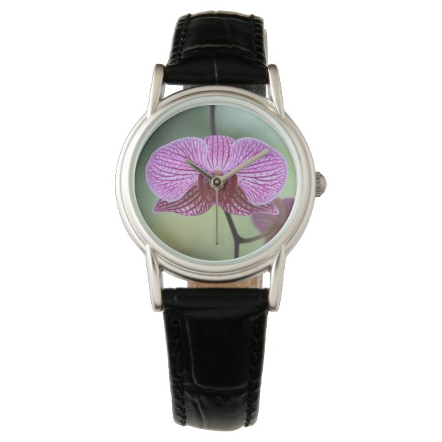 Montre Surveillance de l'orchidée (devant)