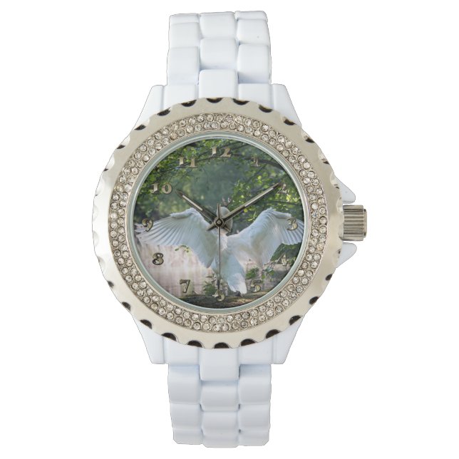 Montre Swan avec ailes étalées (devant)