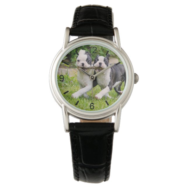 Montre Sympa drôles Boston Terrier chiens chiots jouer -  (devant)