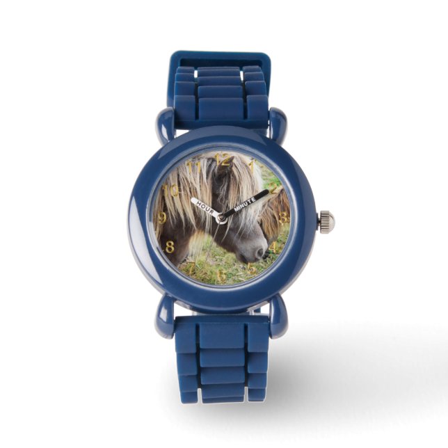 Montre Tan Coloré Shetland Pony, (Recto)