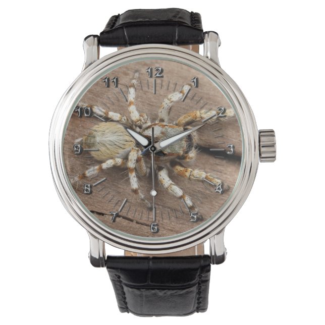 Montre Tarantula (devant)