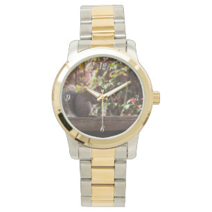 Montre Temps de bouffe d'écureuil