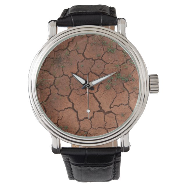 Montre terrain sec et fissuré (devant)