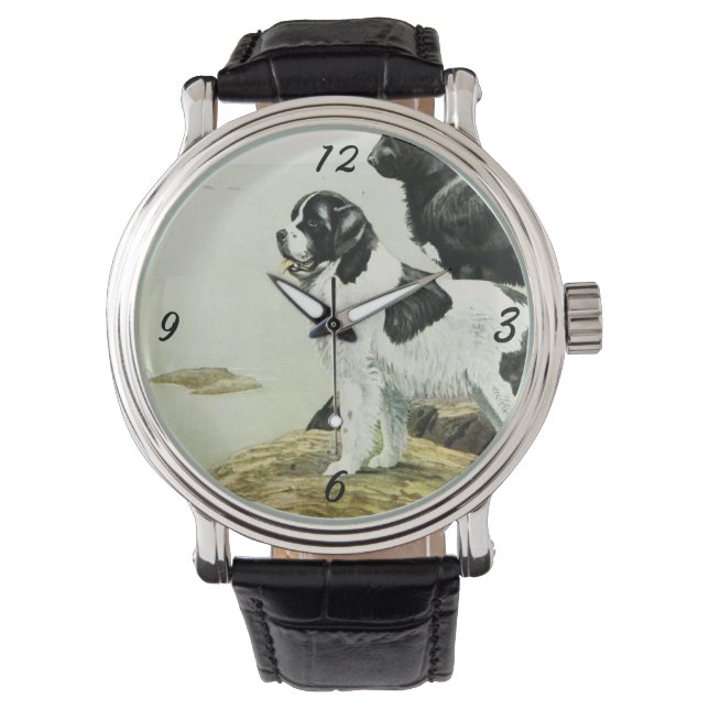 Montre terre-neuve vintage (devant)