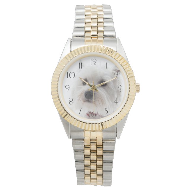 Montre Terrier Adorable White West Highland (devant)