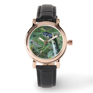 Montre Tête de serpent