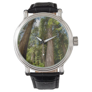 Montre Thuyas géants d'Occident