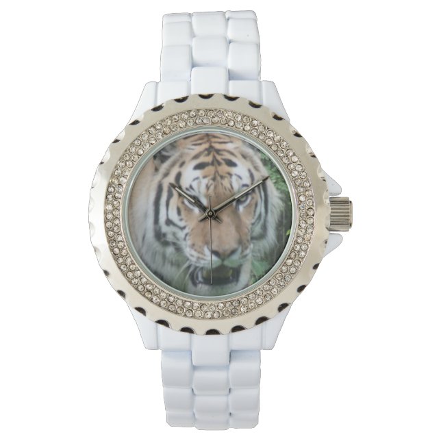 Montre Tiger (devant)