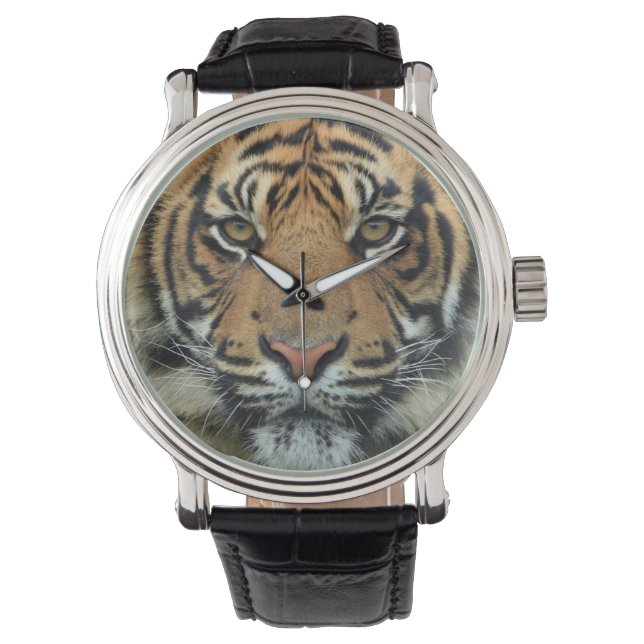 Montre Tiger (devant)