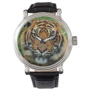 Montre Tiger