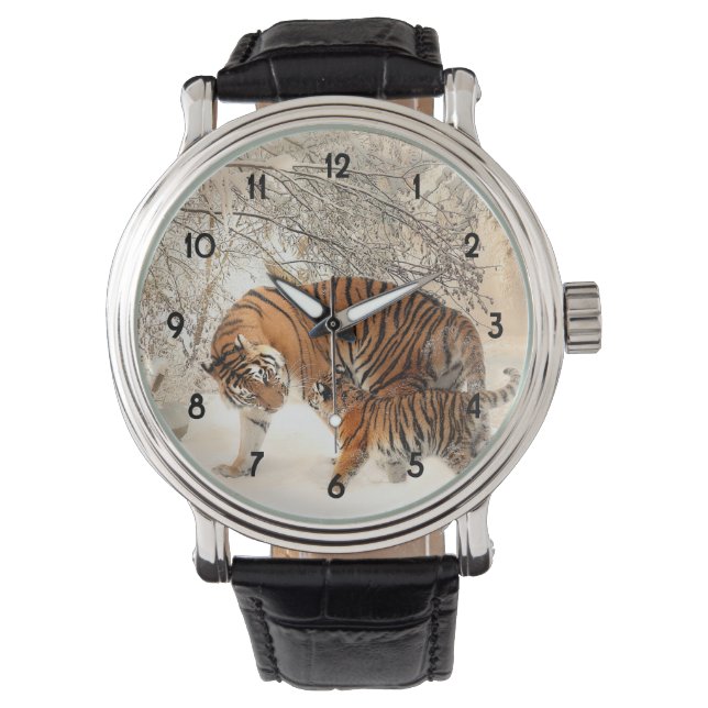 Montre Tigre avec petit dans la neige (devant)