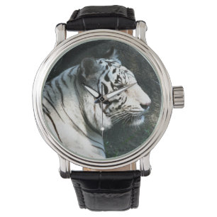 Montre Tigre blanc