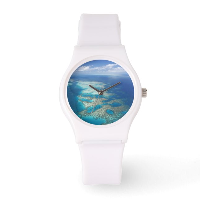 Montre Tongue Reef, Great Barriere Marine Park, (Recto)