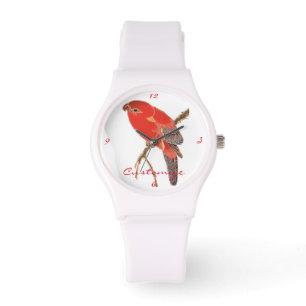 Montre Tonnerre de perroquet rouge tropical