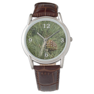 Montre Torrey Pine gros plan botanique Californie