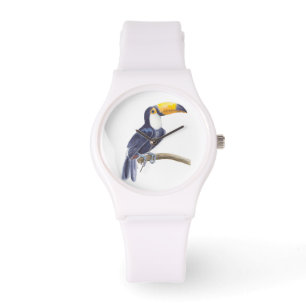 Montre Toucan, oiseau tropical