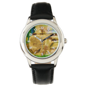 Montre Tout sur les marmottes - Marmotte à ventre jaune