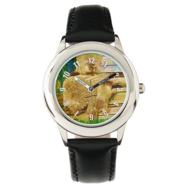 Montre Tout sur les marmottes - Marmotte à ventre jaune (devant)