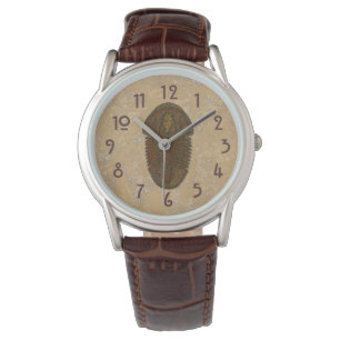 Montre Trilobite fossile Asaphiscus
