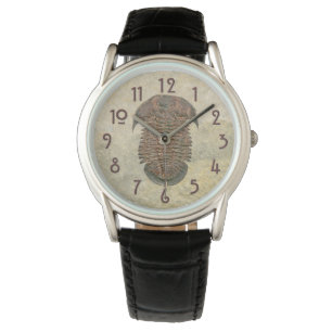 Montre Trilobite fossile de Yuepingia