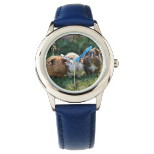 Montre Trois bébés cochons de Guinée,