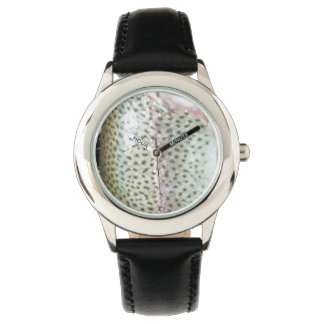 Montre Truite arc-en-ciel, mouche