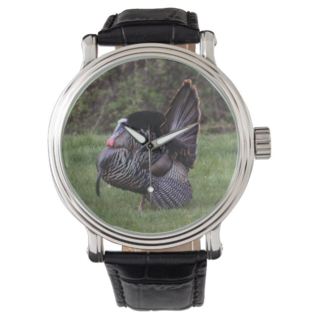 Montre Turquie sauvage (devant)