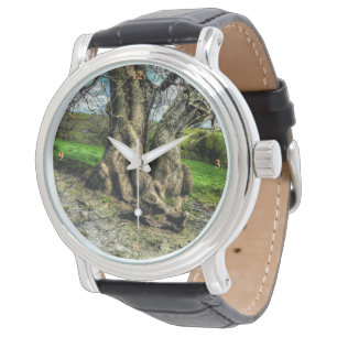 Montre Un arbre dans un bassin de lumière
