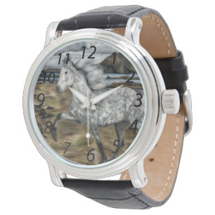 Montre Un cheval islandais charismatique