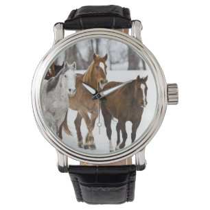 Montre Un hiver pittoresque de course