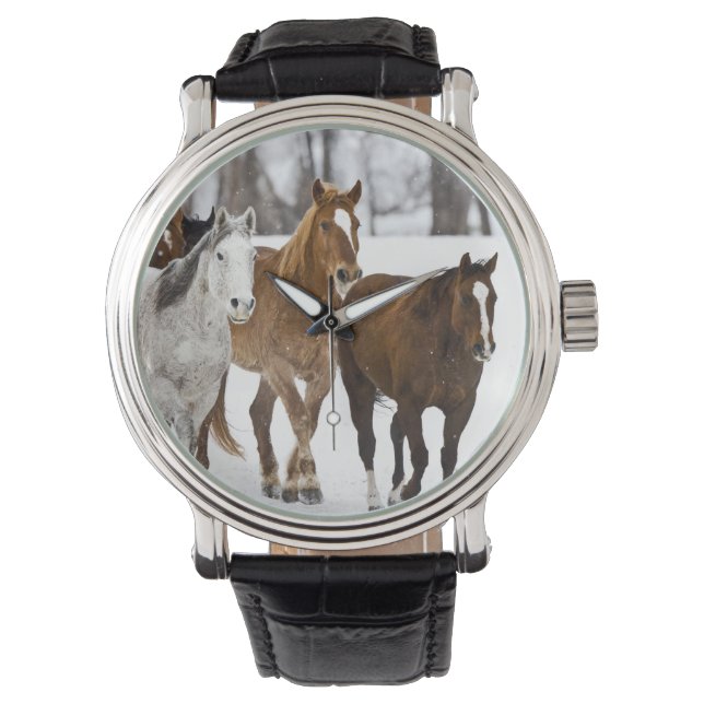 Montre Un hiver pittoresque de course (devant)