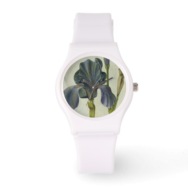 Montre Un Iris (Recto)