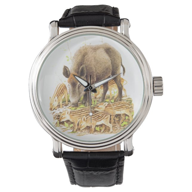 Montre Un sanglier et des bébés sauvages (devant)