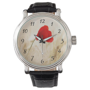 Montre Un seul pavot rouge dans un champ de graminées