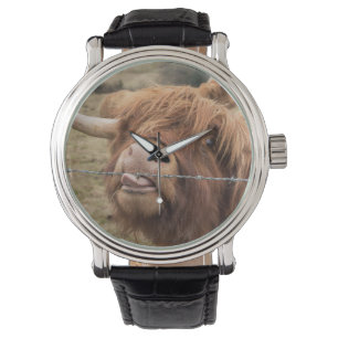 Montre Une photographie merveilleuse d'une vache des