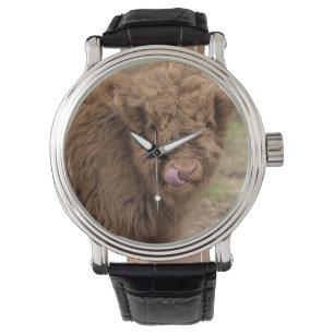Montre Une photographie merveilleuse d'une vache des