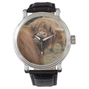 Montre Une photographie merveilleuse d'une vache des