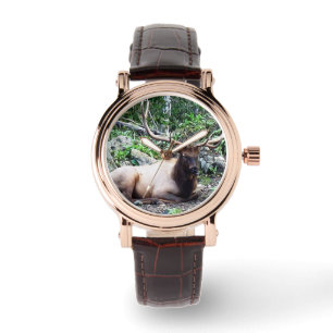 Montre unisexe d'élans