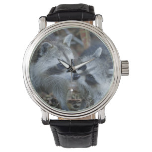 Montre USA, Floride, Sanibel, Ding Darling National