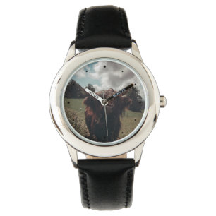 Montre Vache écossaise de la région montagneuse noire pât