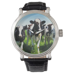 Montre Vaches dans le domaine, ville de Betsukai,