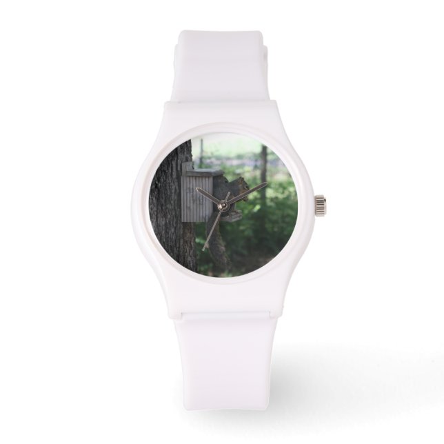 Montre Veille à l'écureuil (Recto)