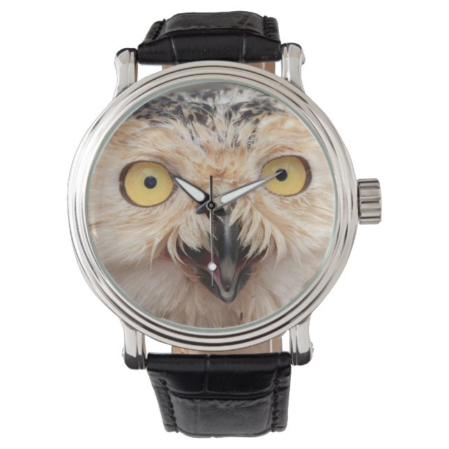 Montre Veille de la chouette des neiges juvéniles (devant)