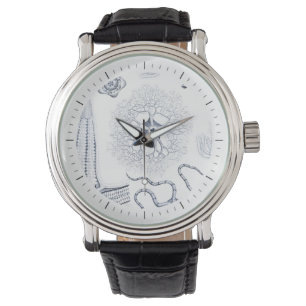 Montre Vie marine préhistorique - Crinoids, Ophiura