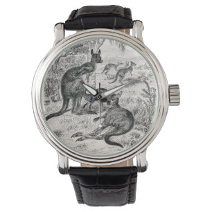 Montre Vintage 1800s Géant Kangaroos Australien Kangaroo