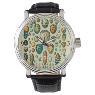 Montre Vintage Bird Eggs French Fish Egg
