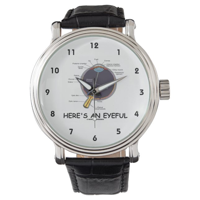 Montre Voici un oeil attentif (Humour d'anatomie des yeux (devant)