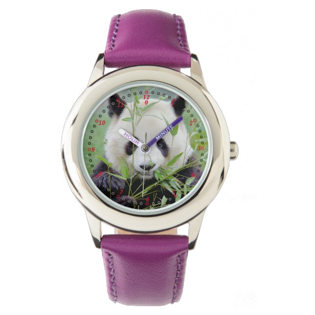 Montre Voir Photo panda géant, animaux 0384. (devant)