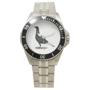 Montre Vol vol Pigeon noir