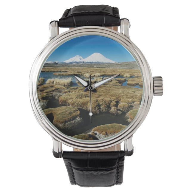Montre Volcans Payachalas (devant)